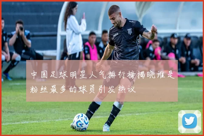 中国足球明星人气排行榜揭晓谁是粉丝最多的球员引发热议