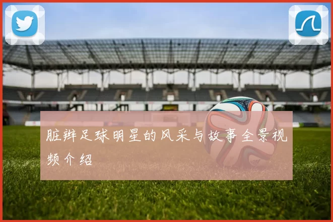 脏辫足球明星的风采与故事全景视频介绍