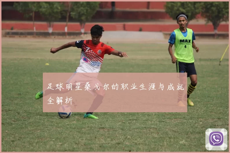 足球明星桑戈尔的职业生涯与成就全解析