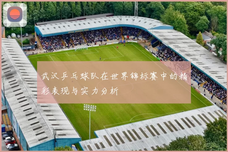 武汉乒乓球队在世界锦标赛中的精彩表现与实力分析