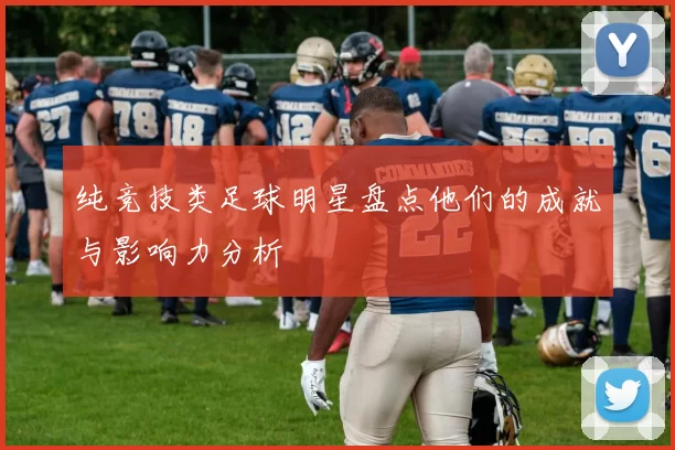 纯竞技类足球明星盘点他们的成就与影响力分析