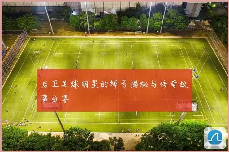 后卫足球明星的绰号揭秘与传奇故事分享