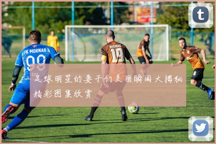 足球明星的妻子们美丽瞬间大揭秘精彩图集欣赏