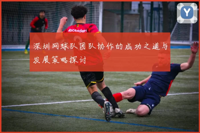 深圳网球队团队协作的成功之道与发展策略探讨
