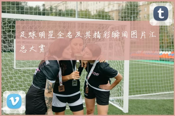 足球明星全名及其精彩瞬间图片汇总大赏