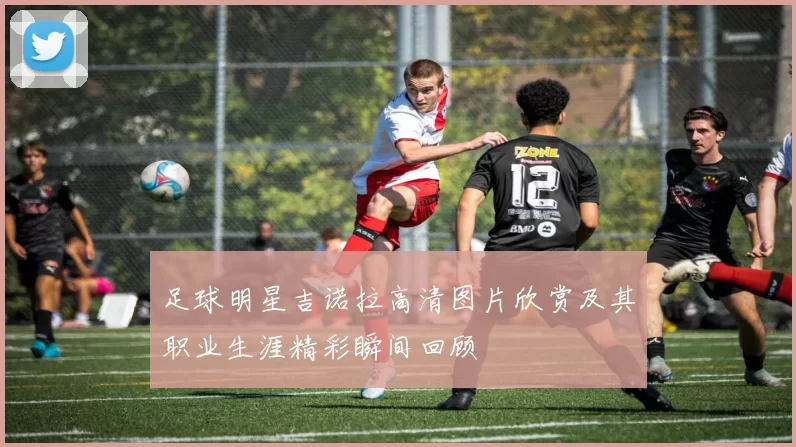 足球明星吉诺拉高清图片欣赏及其职业生涯精彩瞬间回顾