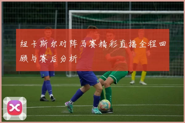 纽卡斯尔对阵马赛精彩直播全程回顾与赛后分析