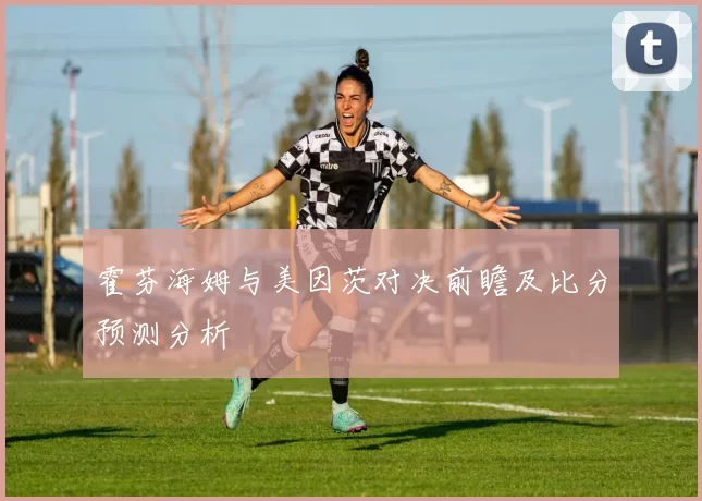 霍芬海姆与美因茨对决前瞻及比分预测分析