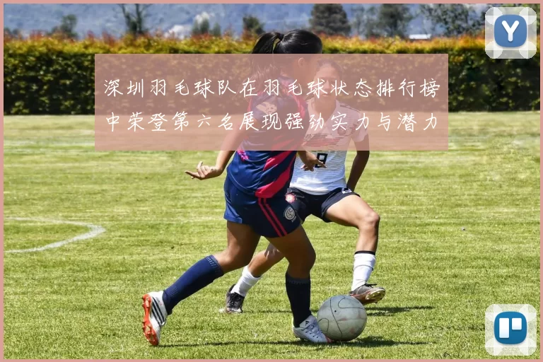 深圳羽毛球队在羽毛球状态排行榜中荣登第六名展现强劲实力与潜力