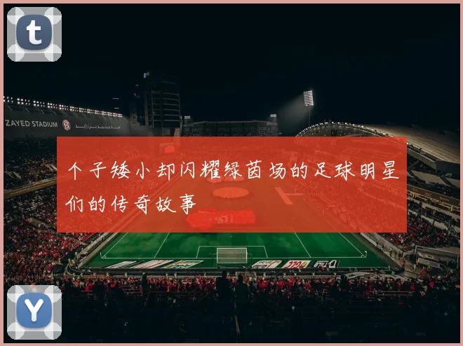 个子矮小却闪耀绿茵场的足球明星们的传奇故事