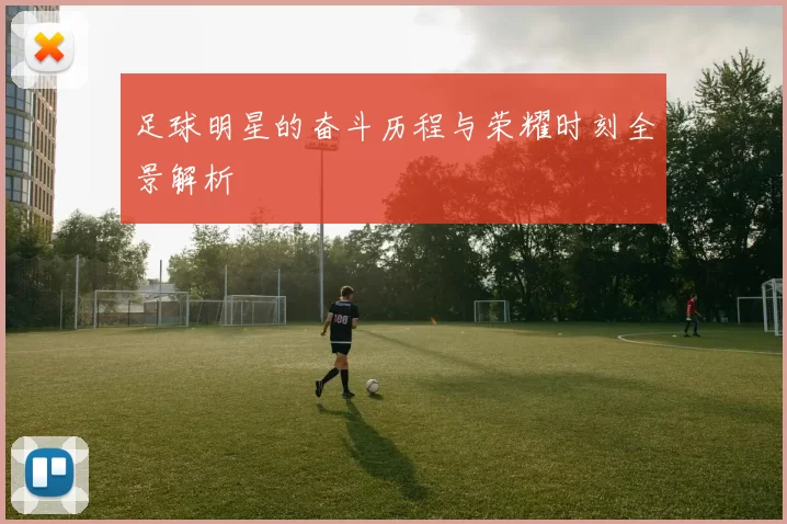 足球明星的奋斗历程与荣耀时刻全景解析