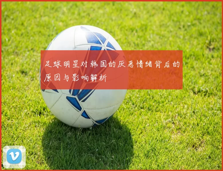 足球明星对韩国的厌恶情绪背后的原因与影响解析