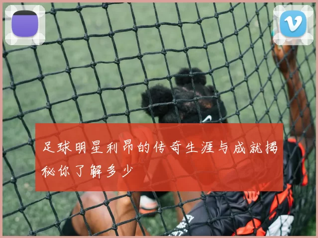 足球明星利昂的传奇生涯与成就揭秘你了解多少